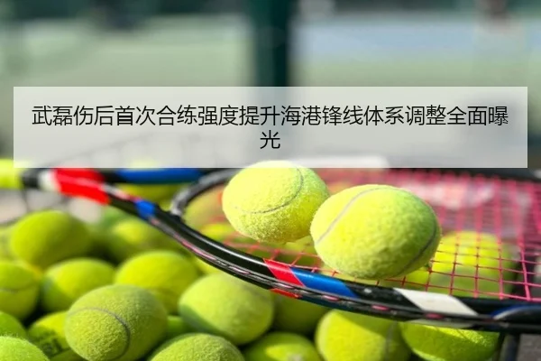 武磊伤后首次合练强度提升海港锋线体系调整全面曝光